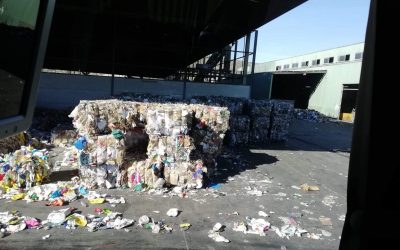 Visita a la planta de reciclaje