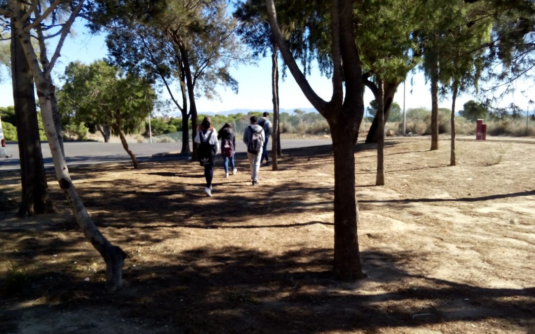 Los alumnos de 3º de PMAR  dieron su clase de Biología y Geología en el Parque